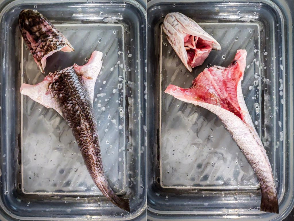 On the left is an eviscerated ikan haruan on its belly in a glass container. On the right is the same ikan haruan, turned the other way around to expose the belly.
